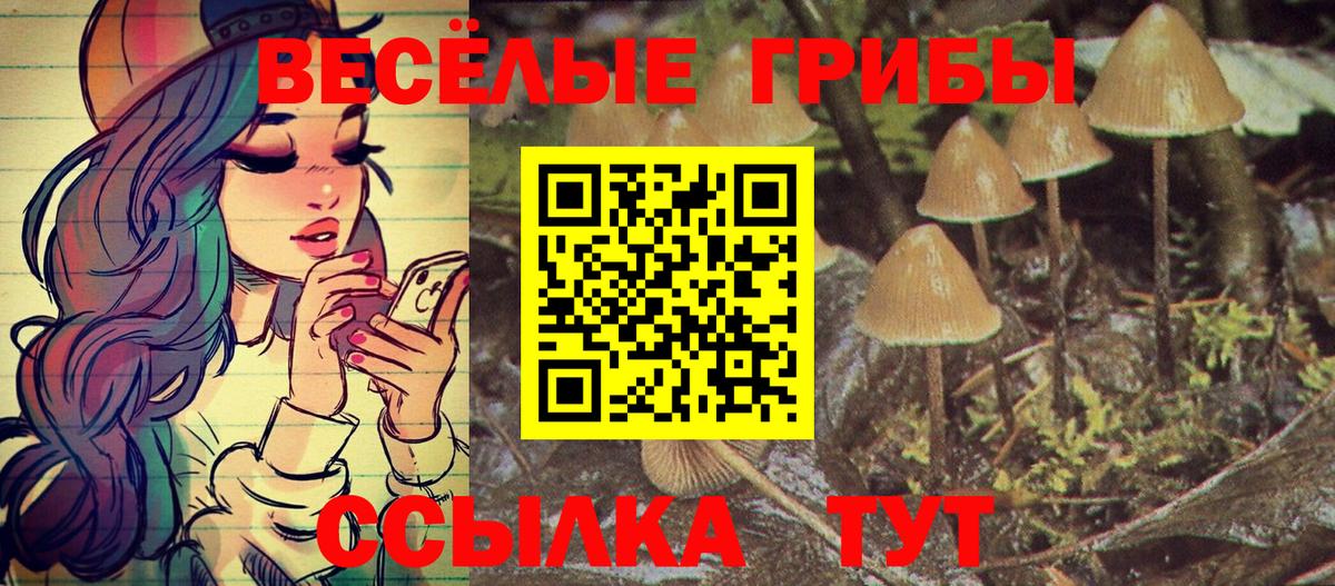 Галлюциногенные грибы Psilocybine cubensis Вичуга